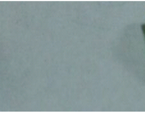 Panda - Button(按钮)mold