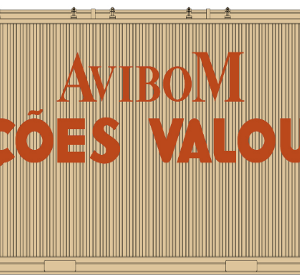 Pack of Valouro V4 model container